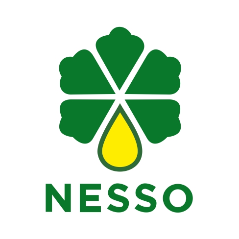 Nesso
