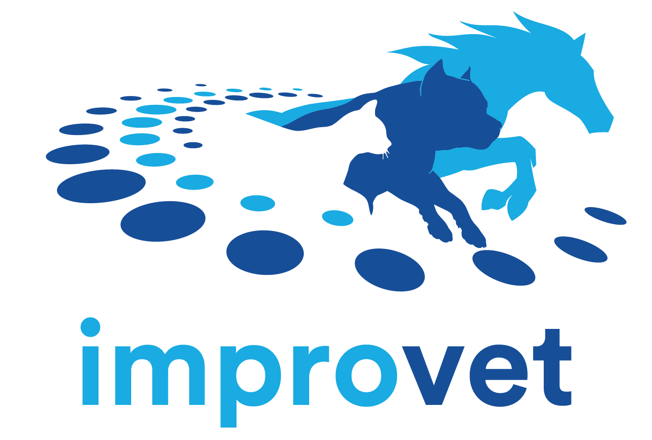 improvet  srl