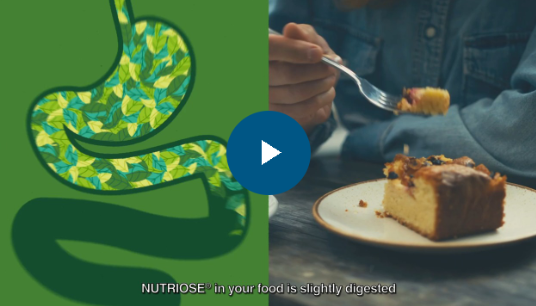 NUTRIOSE® soluble fiber, the story begins with the gut