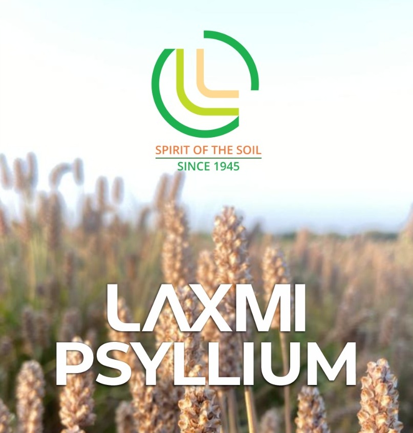 Laxmi Industrial Corporation