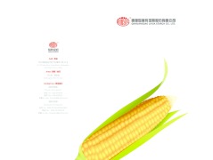 Lihua Brochure