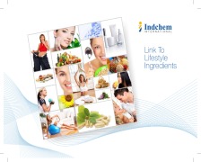 Indchem Product Brochure