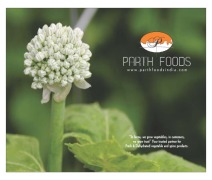 Parth Foods Brochure