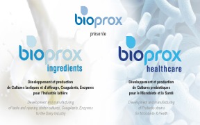 BIOPROX activities