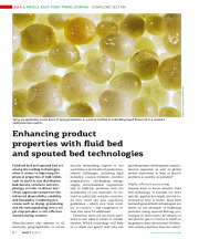 Enhancing product properties with fluid bed and spouted bed technologies