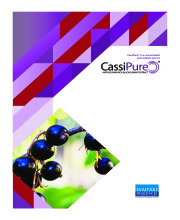 CassiPure is a concentrated nutritional extract from one of the worlds true super-fruits, the blackcurrant.