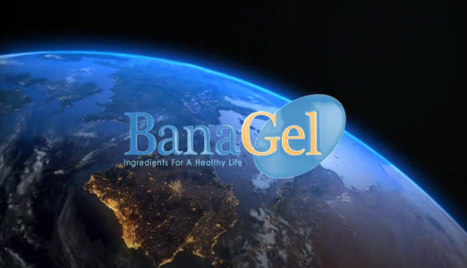 Presentation of Banagel Co., Ltd.  A Gelatin Manufacturer