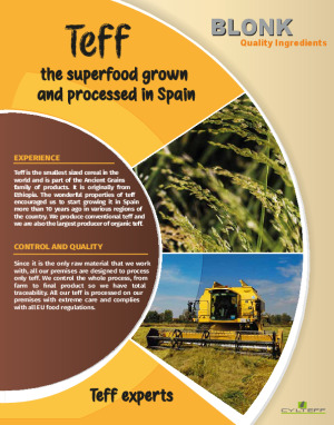 Teff, Cylteff and Blonk Quality Ingredients brochure