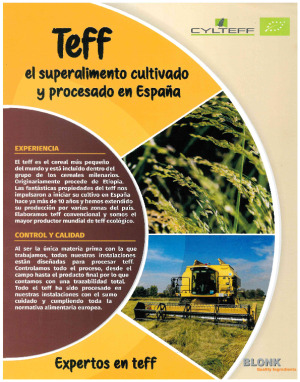 Teff, Cylteff y Blonk Quality Ingredients folleto [ES]