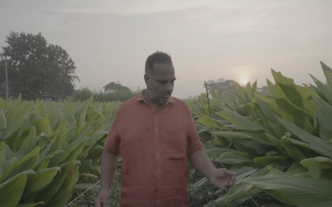 From Farm to Future: CSR Impact by K Patel Phyto