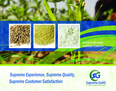 Supreme Gums brochure