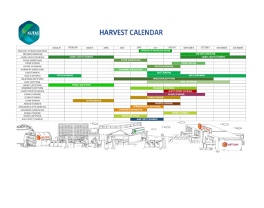 Harvest Calendar