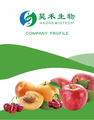 Haohe Biotech Official Brochure | Bio-Based Fermented L-Malic Acid Natural Clean Label Acidity Regulator Food Additive Raw Material
