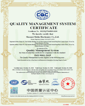 ISO 9001