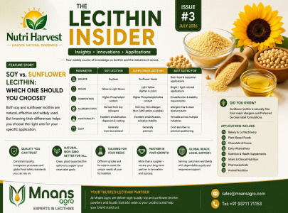 Lecithin Insider Issue #3