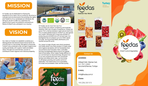 Brochure