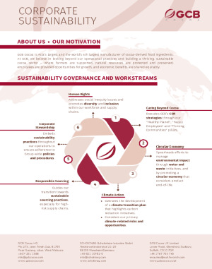 Corporate Sustainability Flyer