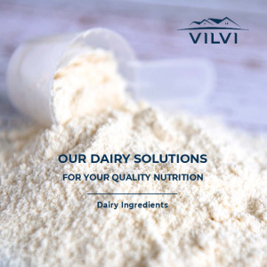 Vilvi Dairy ingredients