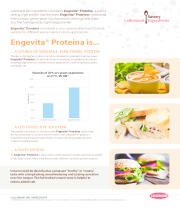 Engevita® Proteina - A cost effective solution for a tasty option