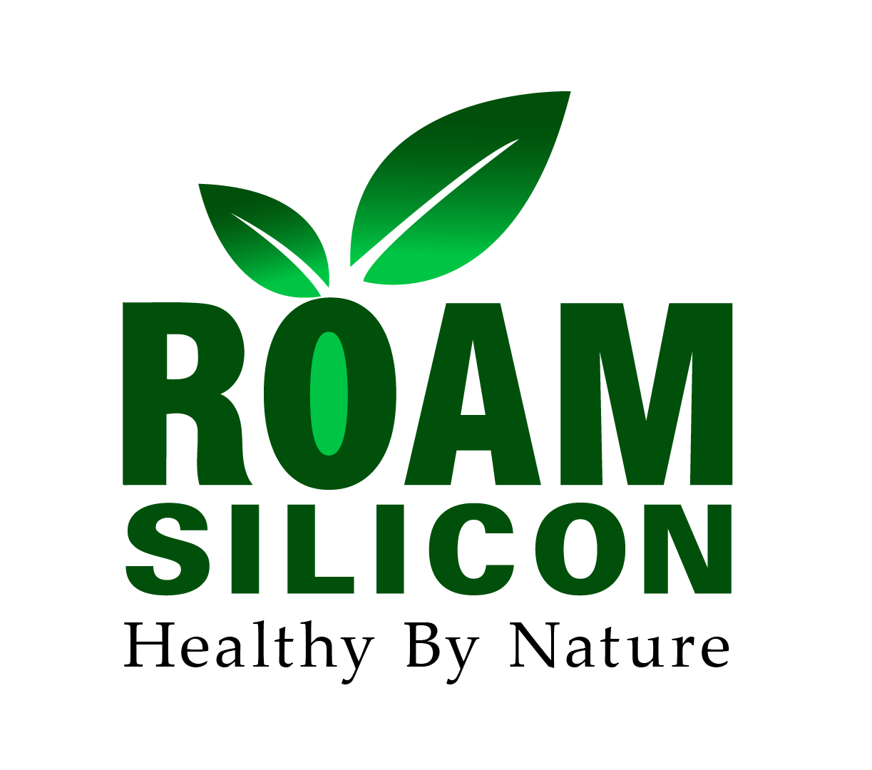 Roam Silicon BV