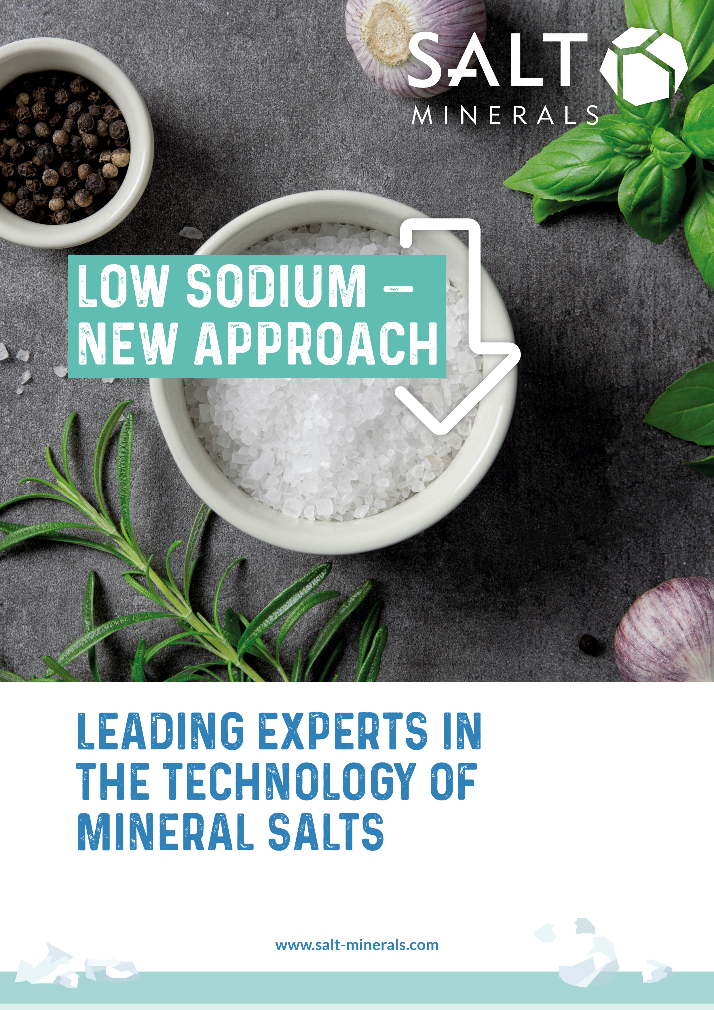 LOW SODIUM — NEW APPROACH