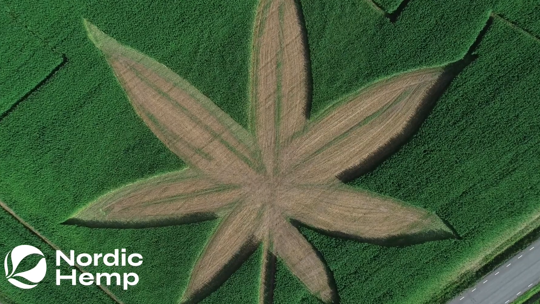 Nordic Hemp Overall Teaser / Hemp seeds, hulled hemp seeds, hemp seed oil