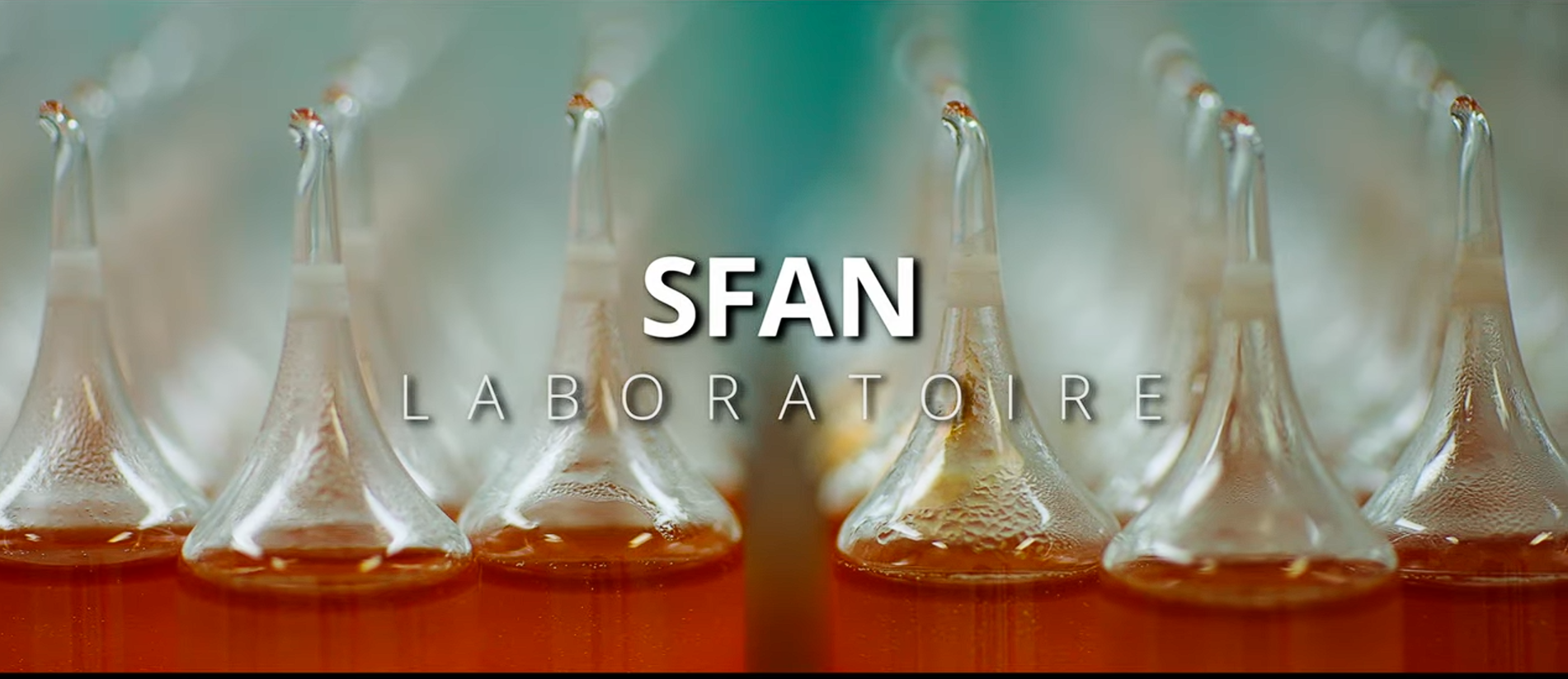 SFAN VIDEO INTRODUCTION
