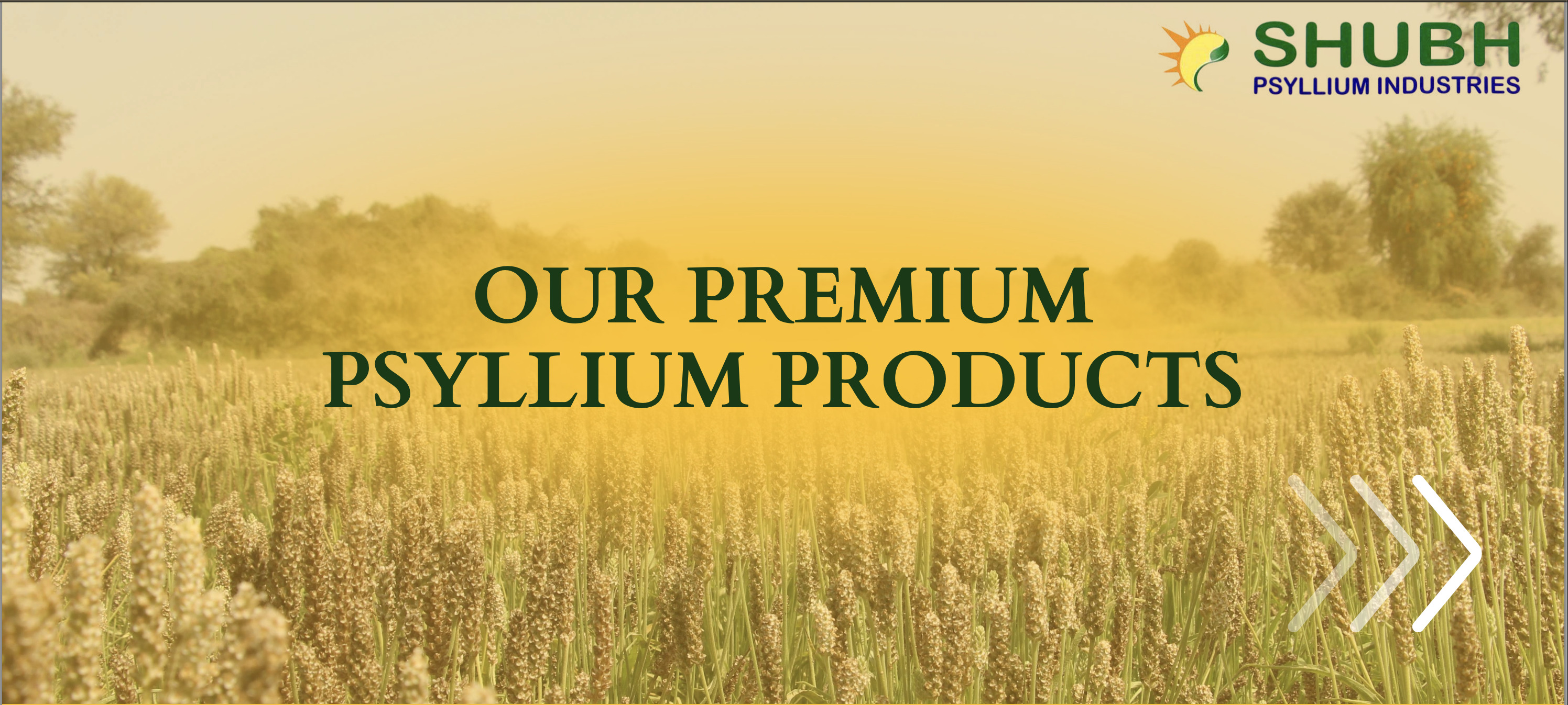 Psyllium Products