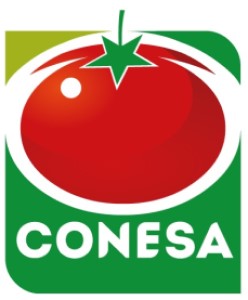 CONESA GROUP