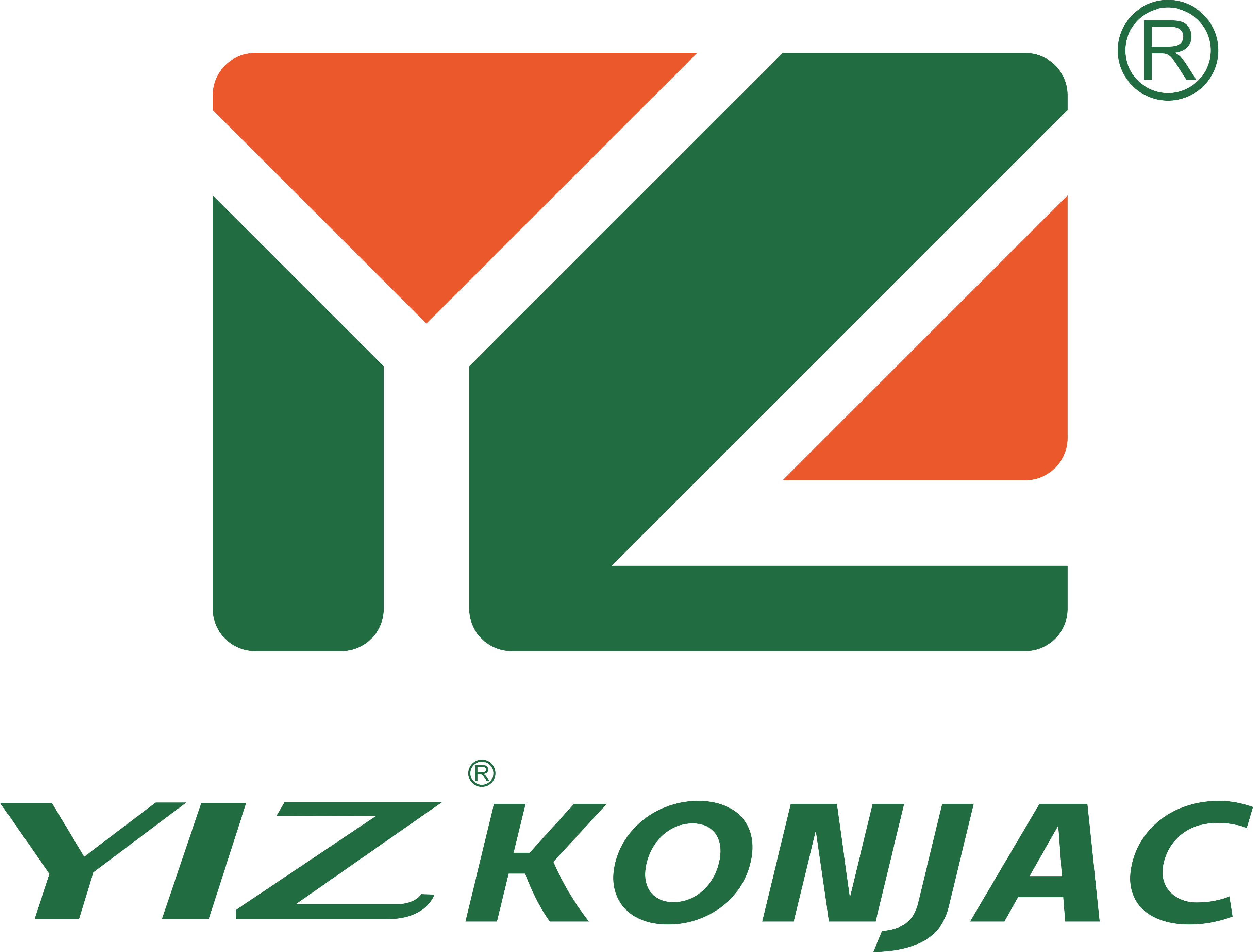 HUBEI YIZHI KONJAC BIOTECHNOLOGY CO  LTD