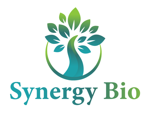 SYNERGY BIO CO LTD