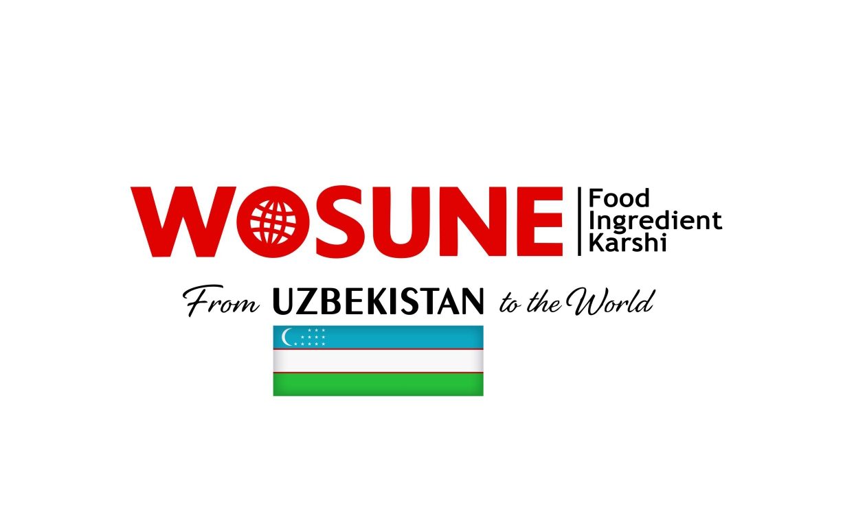 Wosune International Inc