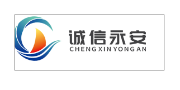 Inner Mongolia Chengxin Yongan Chemical