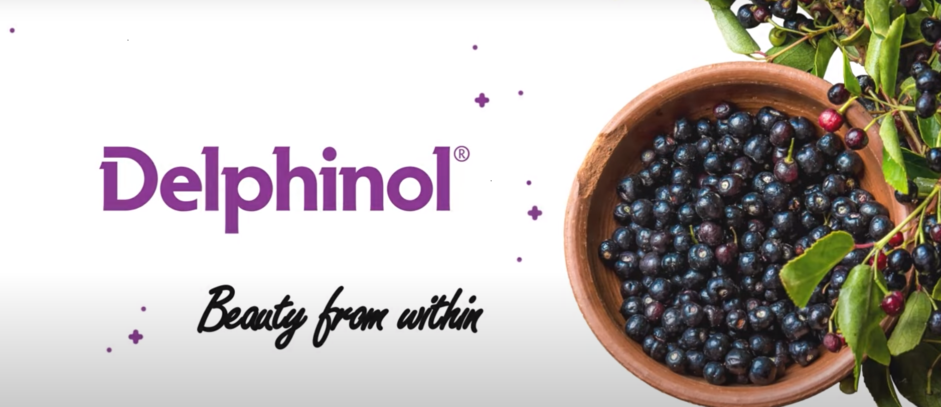 Delphinol® - the unique ingredient for beauty from within products