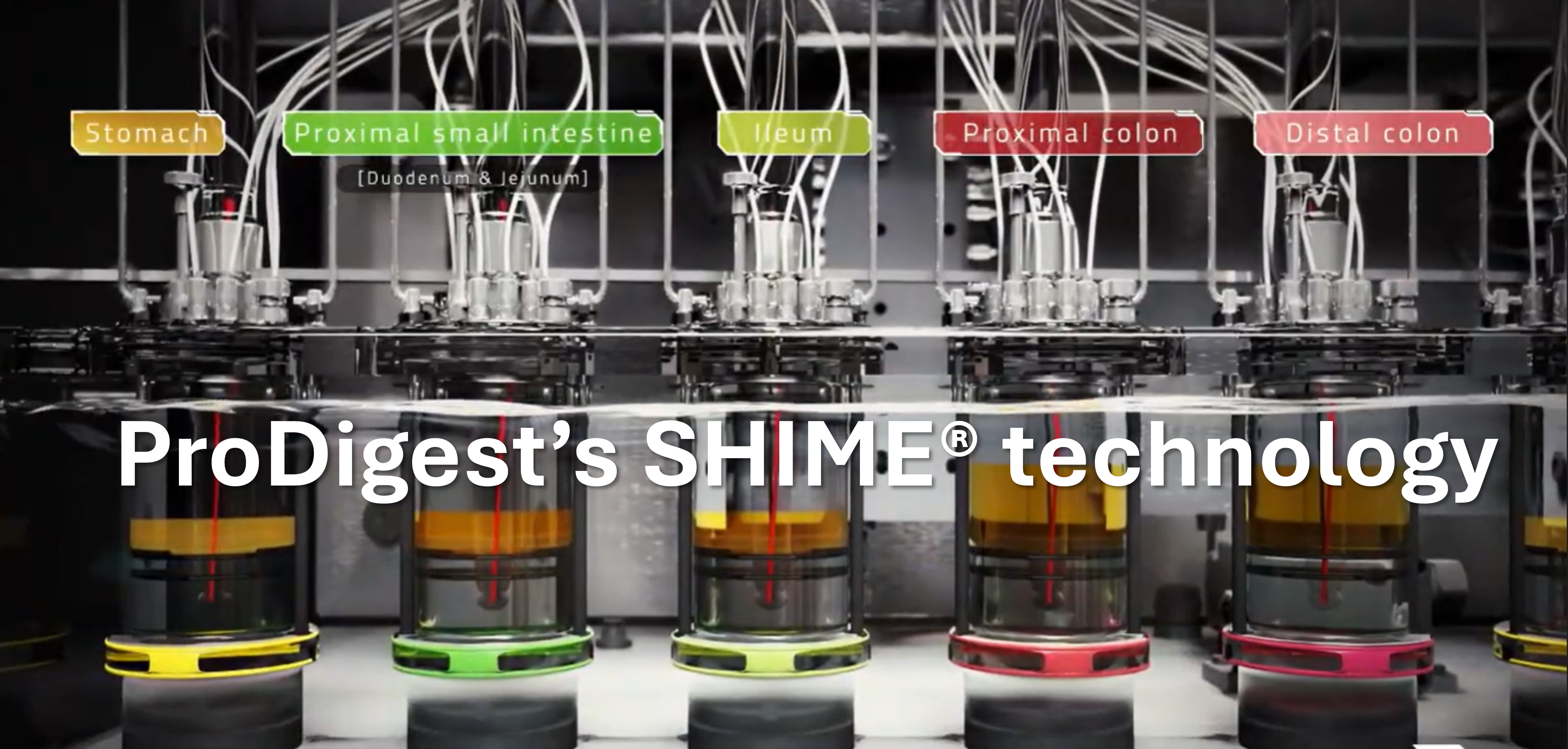 The SHIME® platform (Simulator of the Human Intestinal Microbial Ecosystem)