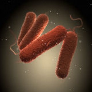 salmonella-bacteria-background-microbiology-43059425