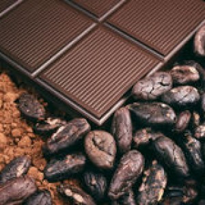 http://www.dreamstime.com/stock-image-bar-chocolate-cocoa-beans-cocoa-powder-image8339691