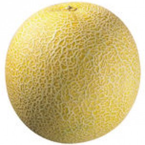melon-380795