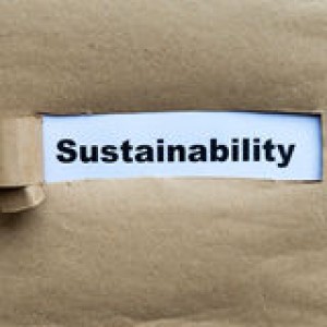 sustainability-word-torn-paper-background-50464115