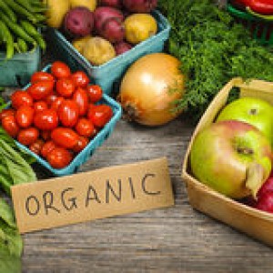 organic-market-fruits-vegetables-29428911