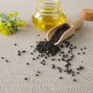 canola-oil-rapeseed-bottele-56061399
