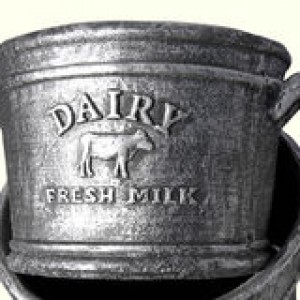 dairy-fresh-milk-23670189