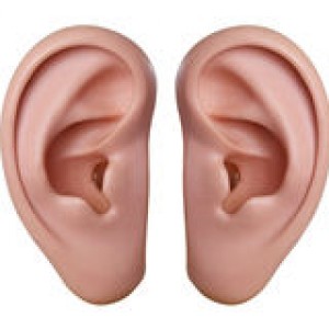 human-ears-28472974