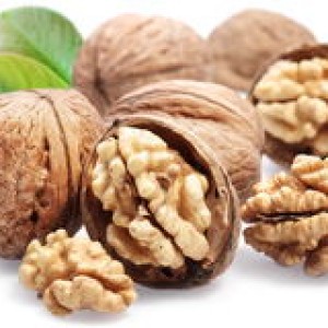 walnuts-leaves-16355774