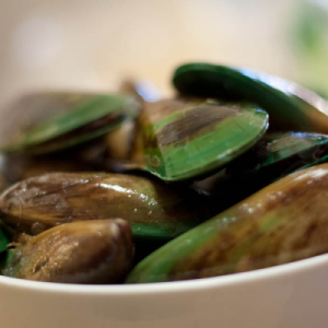live-greenlip-mussels-resized-600