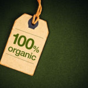 percent-organic-food-price-label-tag-vintage-green-grunge-textured-backgroundas-top-view-52684726