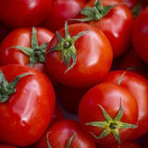 tomatoes-red-green-roots-50631321
