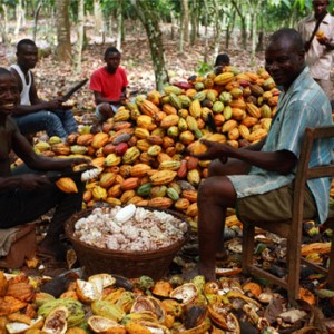 cocoa-farmers