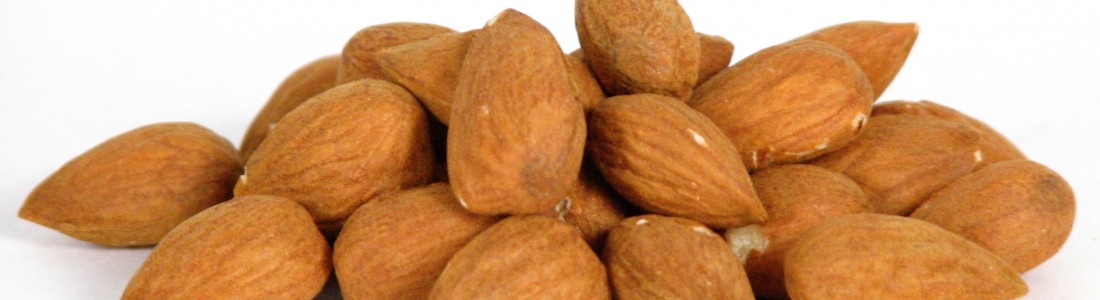 Callebaut acquires American Almond Products