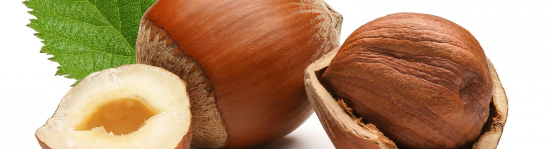 Study: tree nuts good for heart health